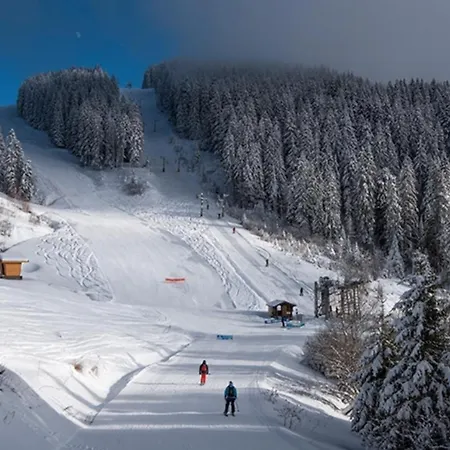 Relai S11: Ski-Side Studio with Mountain View and Wi-Fi Saint-Jean-d'Aulps Exterior photo